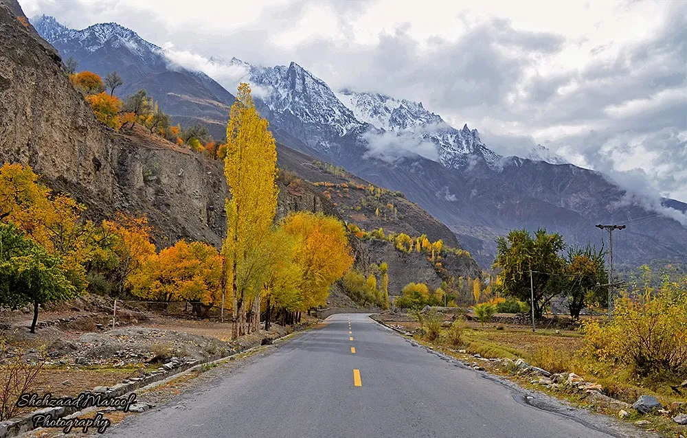 Its Easy, Switch to WHASOLS Today 