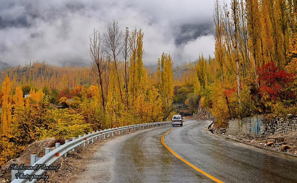 Its Easy, Switch to WHASOLS Today 