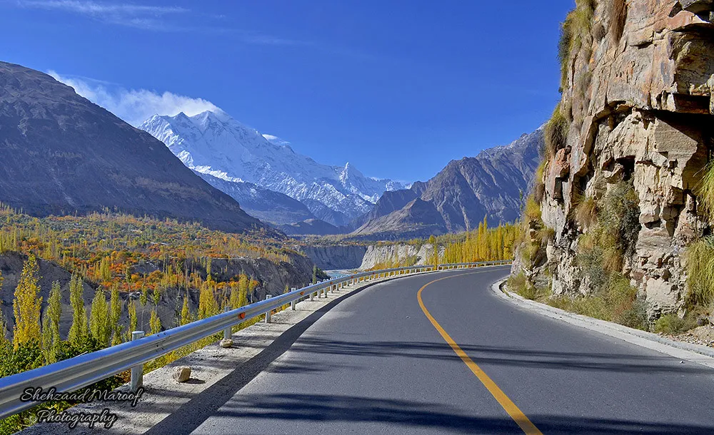 Its Easy, Switch to WHASOLS Today 